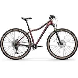 Centurion Backfire Fit Pro 800 27 Zoll RH 43 cm merlot