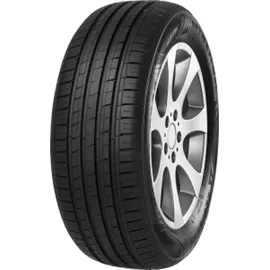 MINERVA F209 195/55 R16 91V XL