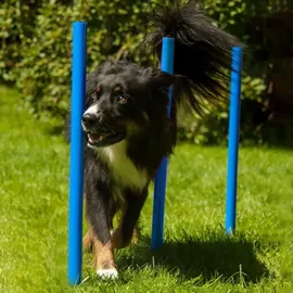 Procyon Agility Set 11 cm Blau