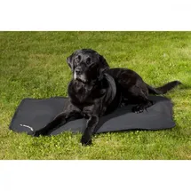 Back on Track Hundematratze Cage Fit, Back on Track® - - 100x68cm