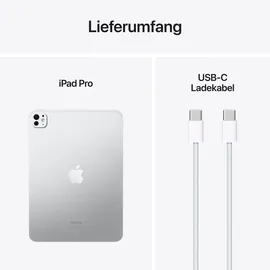 Apple iPad Pro 11" (5. Generation 2024) 2 TB Wi-Fi Nanotexturglas Silber