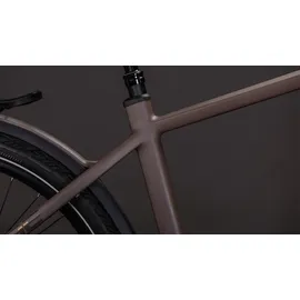 Cube Kathmandu Hybrid EXC 800 Diamant RH 50 cm cedar´n´chrome