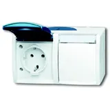 Busch-Jaeger Schuko-Steckdose 20/2 EWN-53 Ocean 2 St.