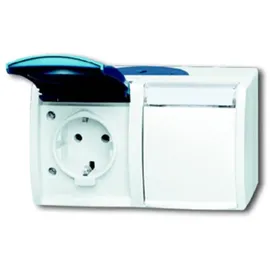 Busch-Jaeger Schuko-Steckdose 20/2 EWN-53 Ocean 2 St.