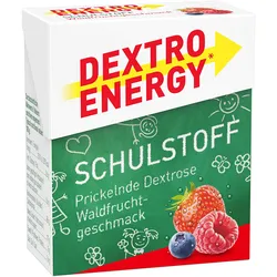 Dextro Energy Schulstoff Waldfrucht