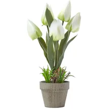 Homescapes Kunstblumen Tulpen weiß im Steinoptik-Topf, 27 cm