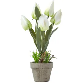 Homescapes Kunstblumen Tulpen weiß im Steinoptik-Topf, 27 cm