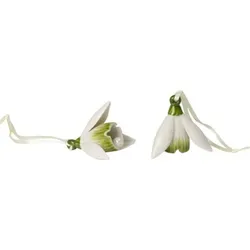 Villeroy & Boch Mini Flower Bells Schneeglöckchen Set 2tlg.