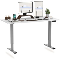 FLEXISPOT Schreibtisch EB2-SET, Höhenverstellbarer Schreibtisch, Dual-Motor & 2-FACH-TELESKOP grau 120 cm x 60 cm