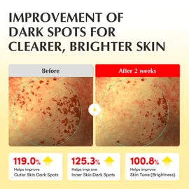 EQQUALBERRY Vitamin Illuminating Toner 150 ml