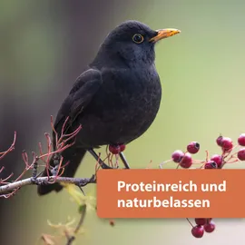 Quiko Protein Mix Wildvögel 200 g