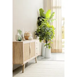 BIZZOTTO Sideboard Sahana 2 Türen  Natur / Beige