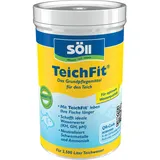 Söll TeichFit® 250 g