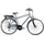 Zündapp Z802 2021 28 Zoll RH 48 cm grau/grün