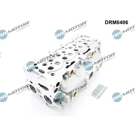 DR.MOTOR AUTOMOTIVE Zylinderkopf DRM6406