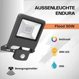 LEDVANCE Endura Flood Sensor Warm White dunkelgrau