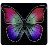 WENKO Multi-Platte Butterfly by Night