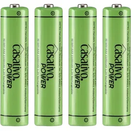 casativo-power AAA 1100 mAh 20 St.