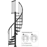 DOLLE Spindeltreppe Calgary Ø 140 cm Metallelemente Anthrazit 11 Stufen FSC®