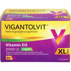 Vitamin D3 2000 I.E. Kapseln 120 St.