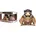 Funko Aegon Targaryen mit Sunfyre 14 cm Mehrfarbig