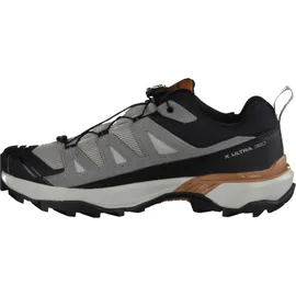 Salomon Herren X Ultra 360 LTR GTX Schuhe (Größe 43 , grau)