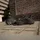 Adidas Ultraboost 5 Core Black / Core Black / Core Black 37 1/3