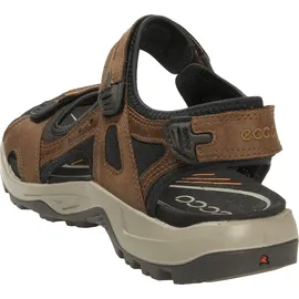 ECCO Offroad Herren espresso/cocoa 46