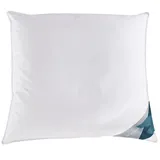 Haeussling »Kuscheltraum, Kissen mit Hausstaub- & Milbenbarriere«, Füllung: Außenkammern mit 60% Daunen, 40% Federn, Bezug: 100% Baumwolle, (1 St.), Kopfkissen 40x80 cm, 80x80cm, Made in Germany