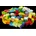 Duplo Gemischt 2500 Stück Colorful Duplo mix