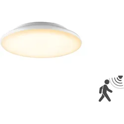 EVN Lichttechnik LED-Anbauleuchte L25120125BM