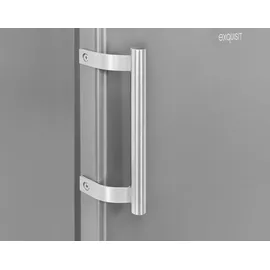 Exquisit KS1016-4-HE-040D Kühlschrank (109 l, 855 mm hoch, Inoxlook)