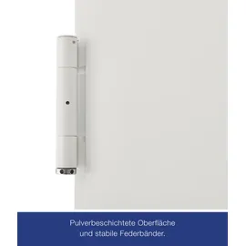 Hörmann T30 H8-5 links 87,5 x 125 cm grauweiß