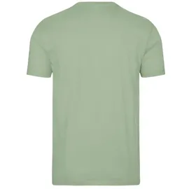 TRIGEMA T-Shirt TRIGEMA "TRIGEMA T-Shirt aus 100% Baumwolle", Herren, Gr. 3XL, grün (grün tea), 100% Baumwolle, Basic, Shirts T-Shirt