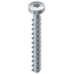 100St. Niedax NSA 6X50/FKK-T30 V Niedax-Schraubanker