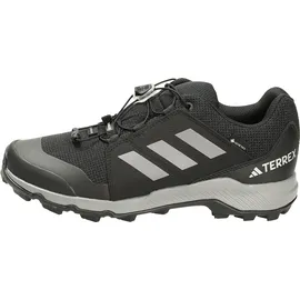 Adidas Terrex GTX Wanderschuh Core Black / Grey Three / Core Black 29