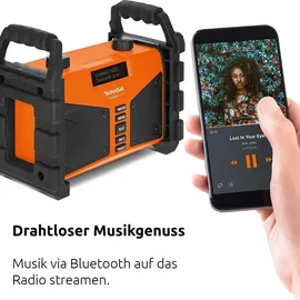 TechniSat Digitradio 230 OD