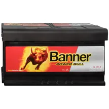 Banner Power Bull 100Ah 12V