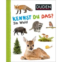 Fischer Duden 12+: Kennst du das? Im Wald