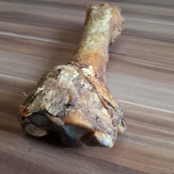 PFERDEBEINE 1 Stück