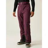 Dare 2b Dare2b Achieve Ii Pant fig - XS