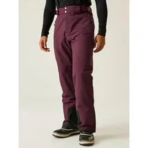 Dare 2b Dare2b Achieve Ii Pant fig - XS