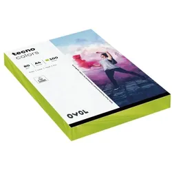 Inapa tecno Farbige Papiere »Rainbow / tecno Colors« grün