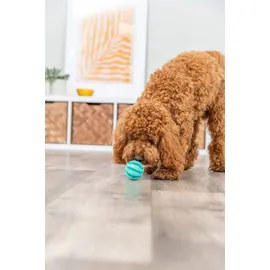 Trixie Denta Fun Ball 32880 6 cm