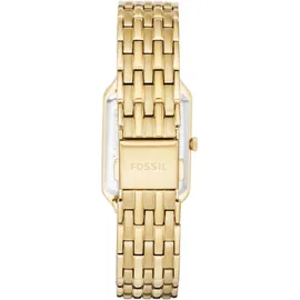 Fossil Raquel, ES5220