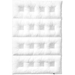 Sanders Climabalance Premium Daunendecke warm
