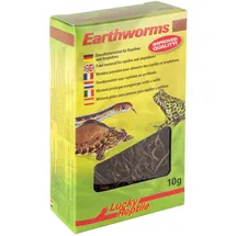 Lucky Reptile Earthworms, getrocknete Regenwürmer