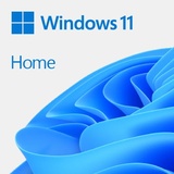 Microsoft Windows 11 Home ESD DE