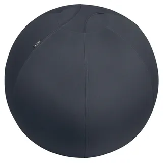 Leitz Ergo Active Sitzball dunkelgrau 65,0 cm