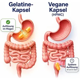 Vitalleben Echte Goldrute Solidago Kapseln 360 St.